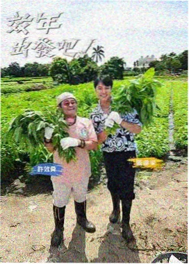 跑男2024-七七影视大全免费观看